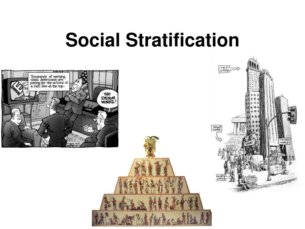 PPT Social Stratification PowerPoint Presentation, free download ID