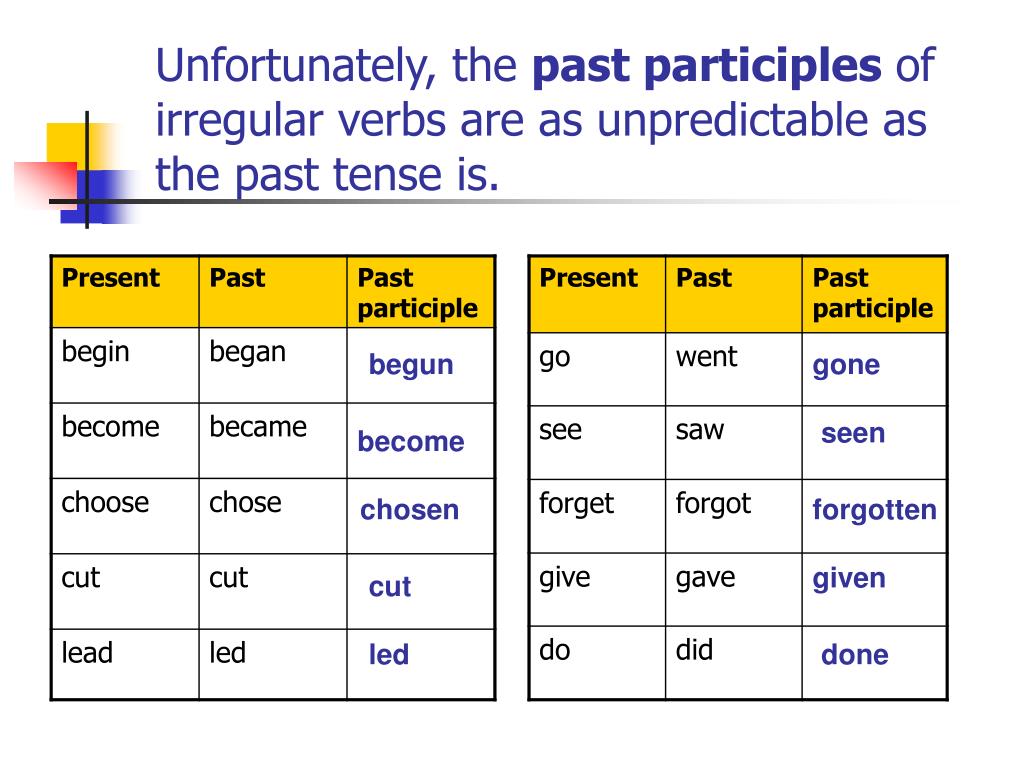 Past Participle Tense Shophann