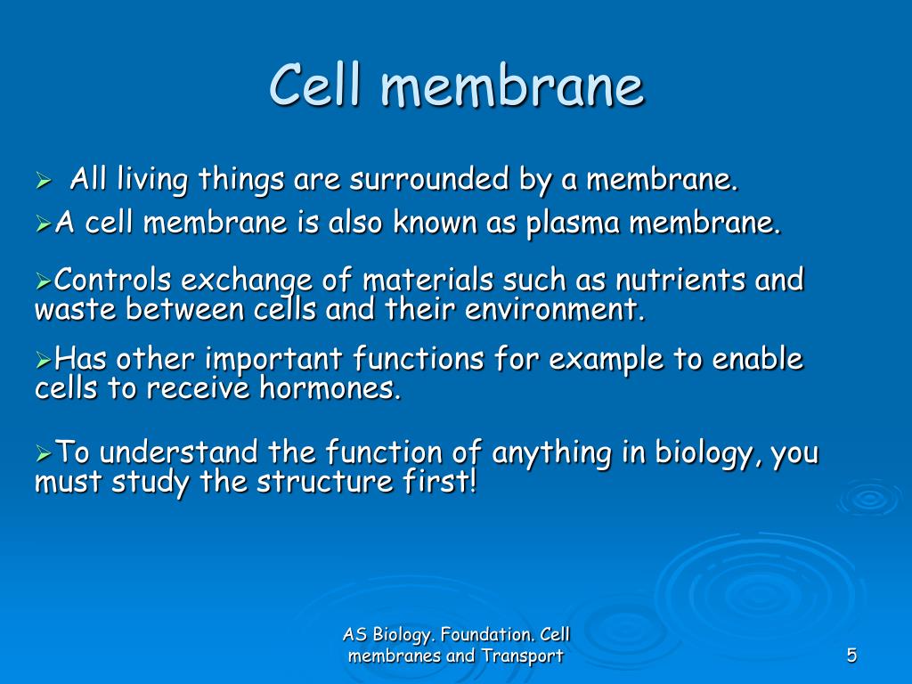 Ppt - As Biology Foundation Chapter 4 Cell Membranes And Transport Powerpoint Presentation
