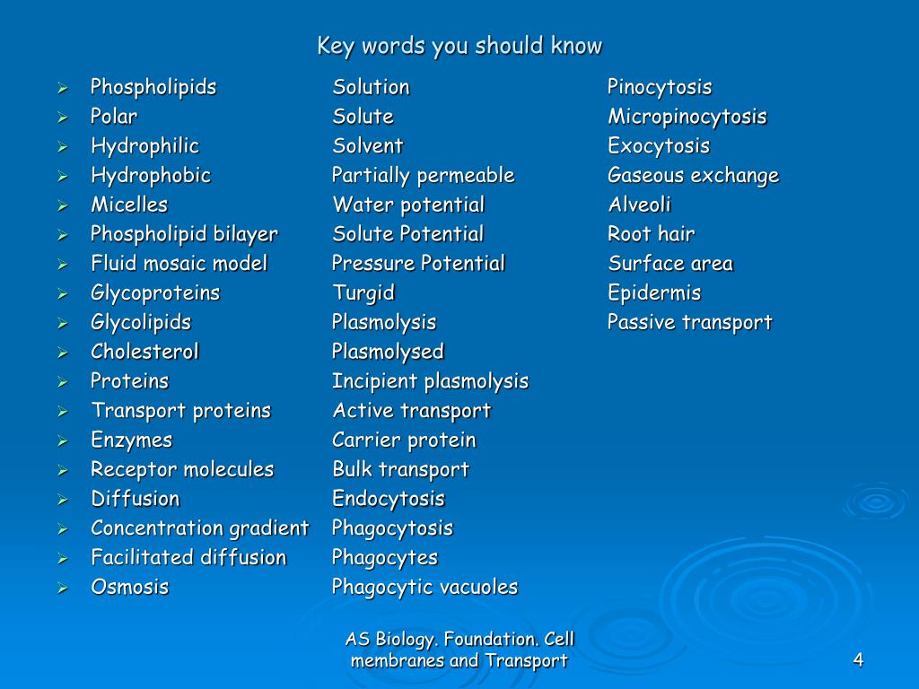 PPT - AS Biology FOUNDATION Chapter 4 CELL MEMBRANES and ...