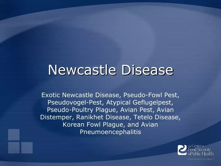 newcastle disease n.