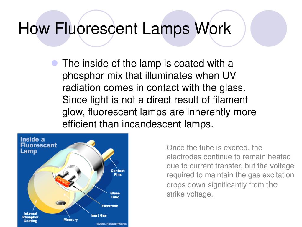How does the fluorescent light bulb work - youjas