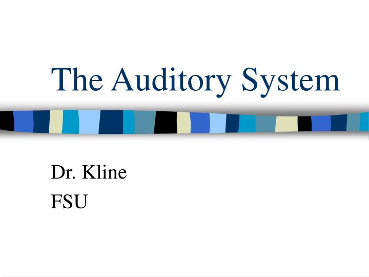 the auditory system n.