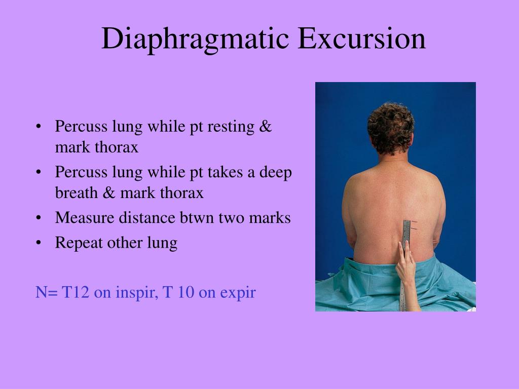 percuss diaphragmatic excursion