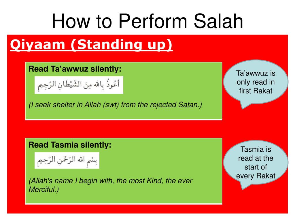 PPT Basic Teachings Of Islam PowerPoint Presentation Free Download ppt-basic-teachings-of-islam-powerpoint-presentation-free-download
