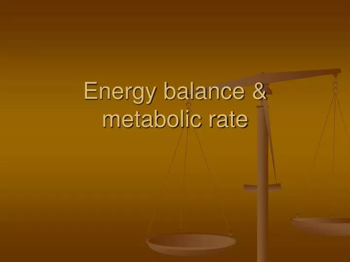 energy balance metabolic rate n.