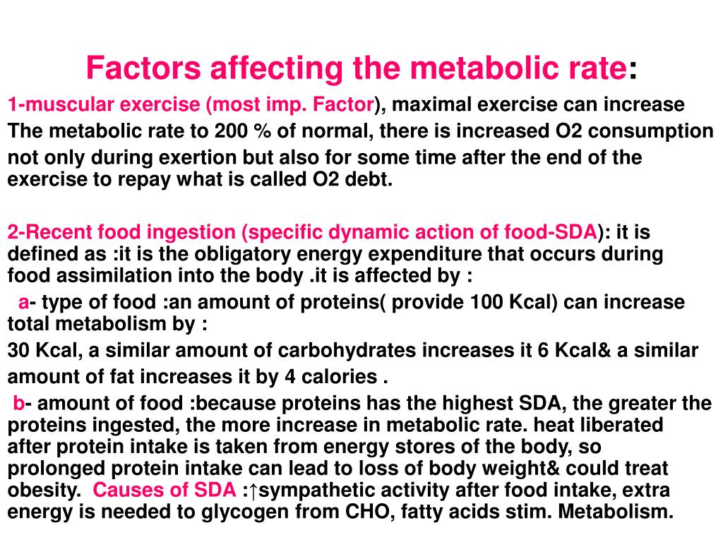 PPT - Energy balance & metabolic rate PowerPoint Presentation, free ...