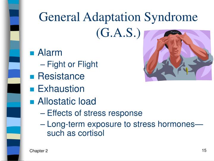general adaptation syndrome general adaptation syndrome