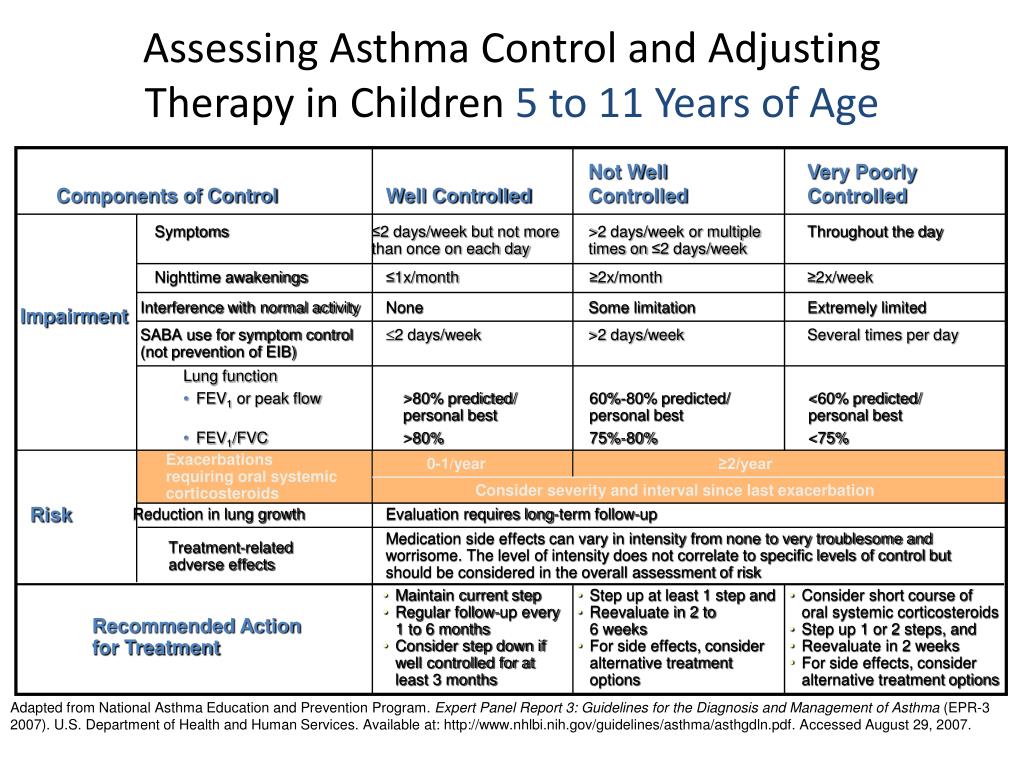 PPT - Keeping Kids with Asthma in Class PowerPoint Presentation - ID:183003