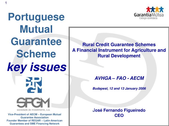 portuguese mutual guarantee scheme key issues n.