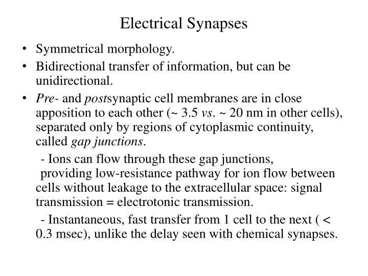chemical synapse and electrical synapse