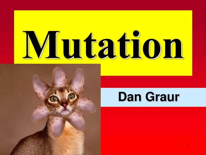mutation n.