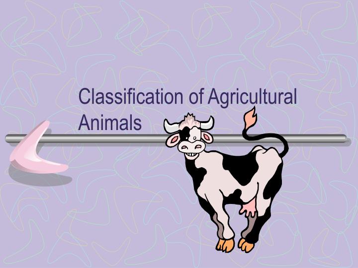 classification of agricultural animals n.