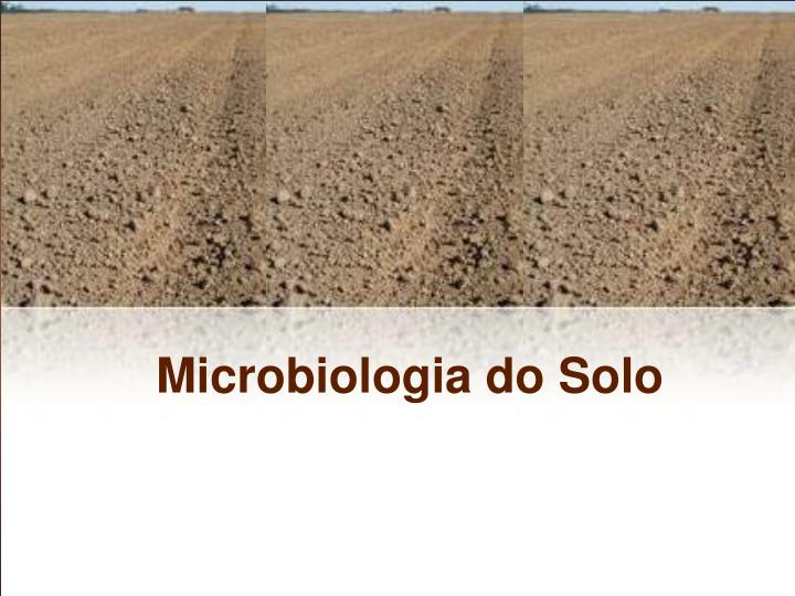 microbiologia do solo n.