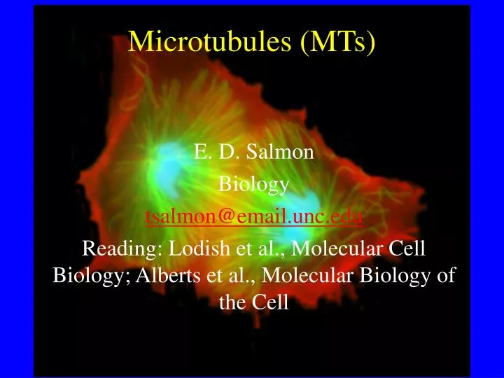microtubules mts n.