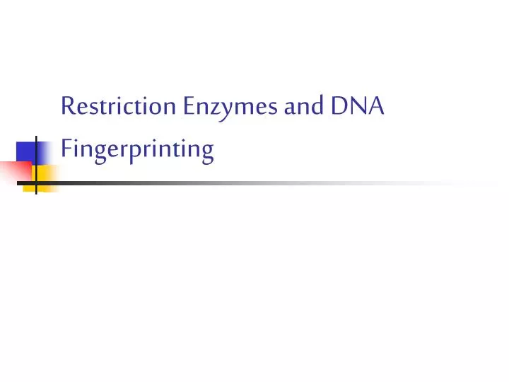 restriction enzymes and dna fingerprinting n.