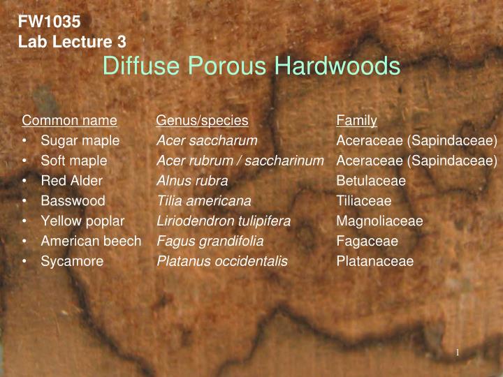 diffuse porous hardwoods n.