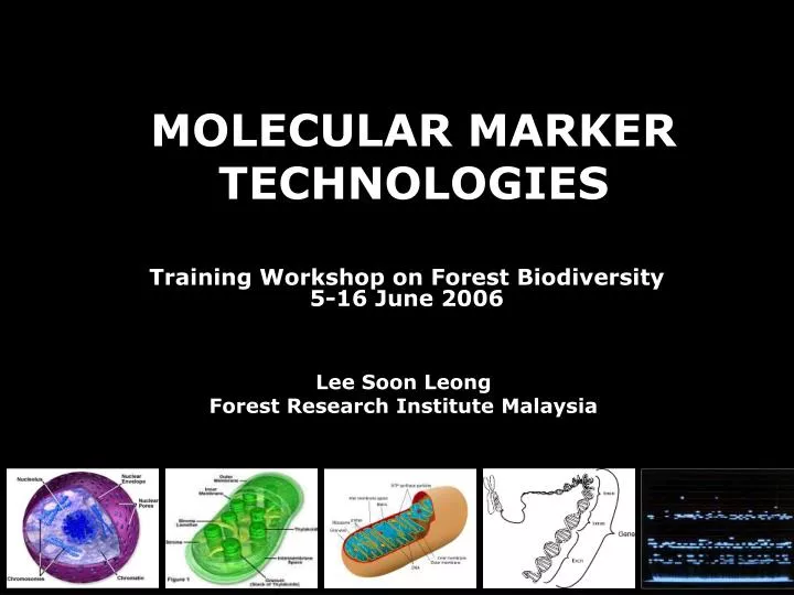 molecular marker technologies n.