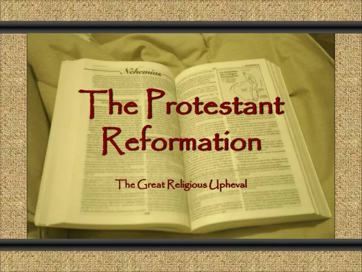 the protestant reformation n.