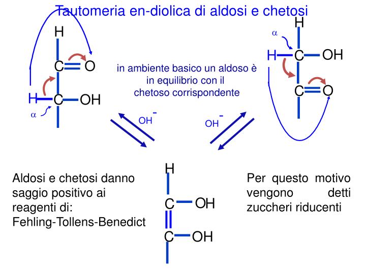 Il Ribosio è Un Aldoso O Chetoso PPT - GLUCIDI (CARBOIDRATI) PowerPoint Presentation - ID:193769