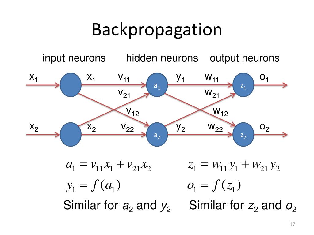 backpropagation momentum factor investing