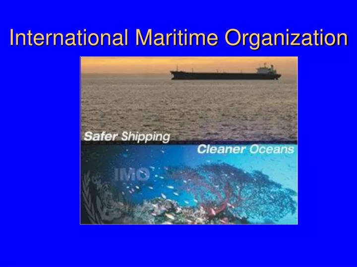international maritime organization n.
