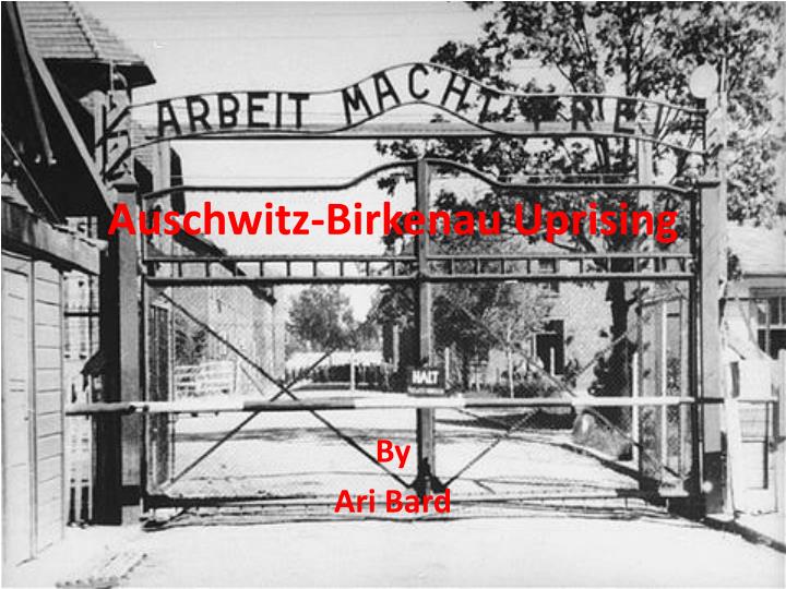 auschwitz birkenau uprising n.
