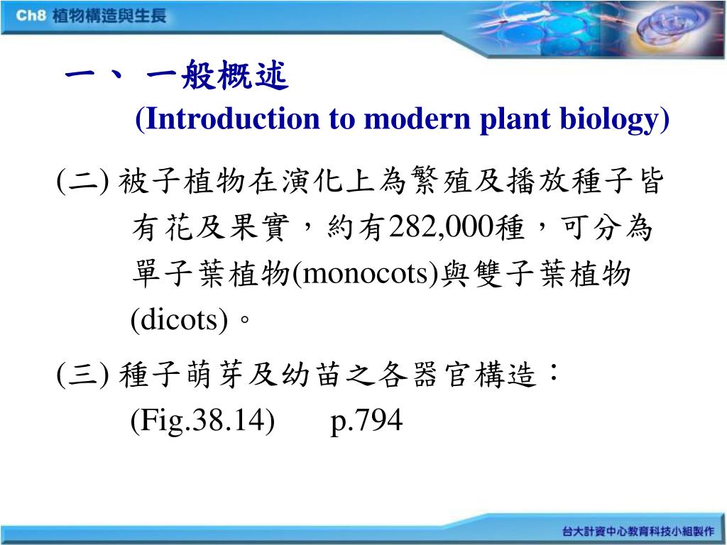 PPT - 第八章植物構造與生長(Plant Structure and Growth