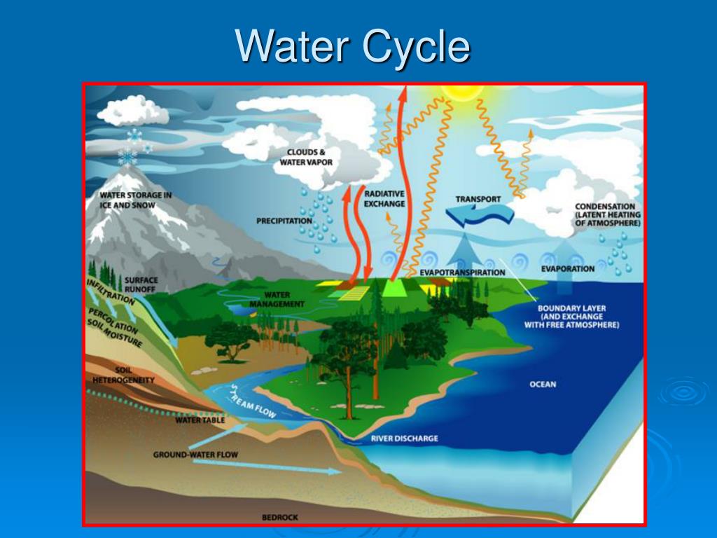 the presentation water cycle