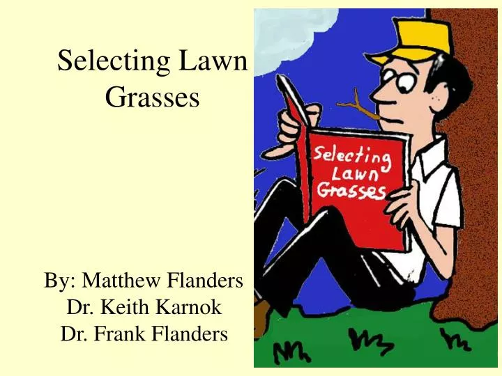selecting lawn grasses n.