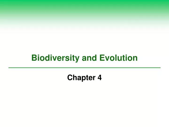 biodiversity and evolution n.
