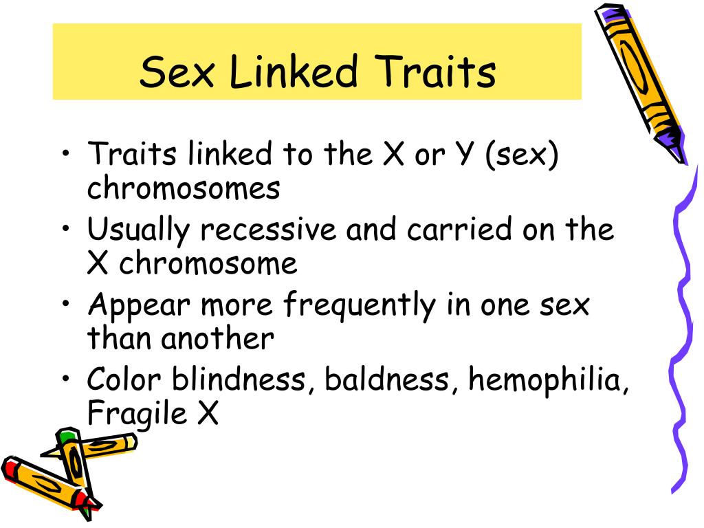 Sex Linked Traits Definition Examples Expii My Xxx Hot Girl