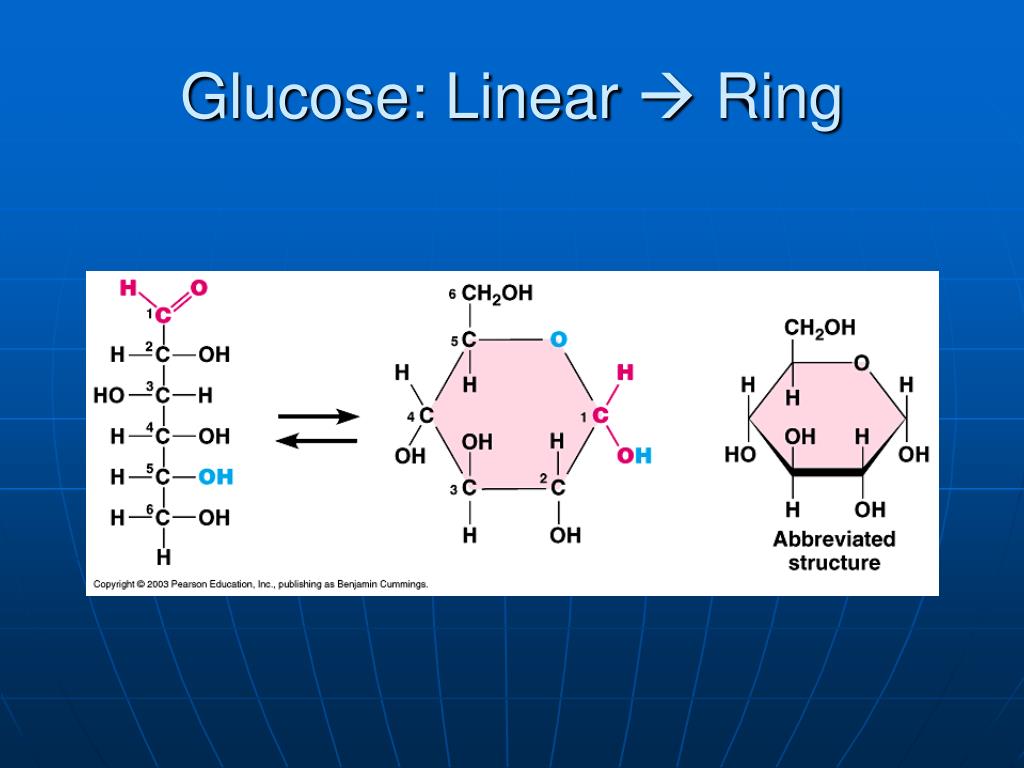 PPT - Organic Molecules PowerPoint Presentation, free download - ID:201815