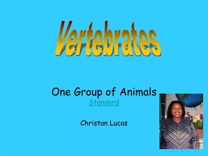 one group of animals standard christan lucas n.