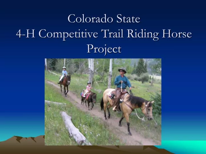 colorado state 4 h competitive trail riding horse project n.