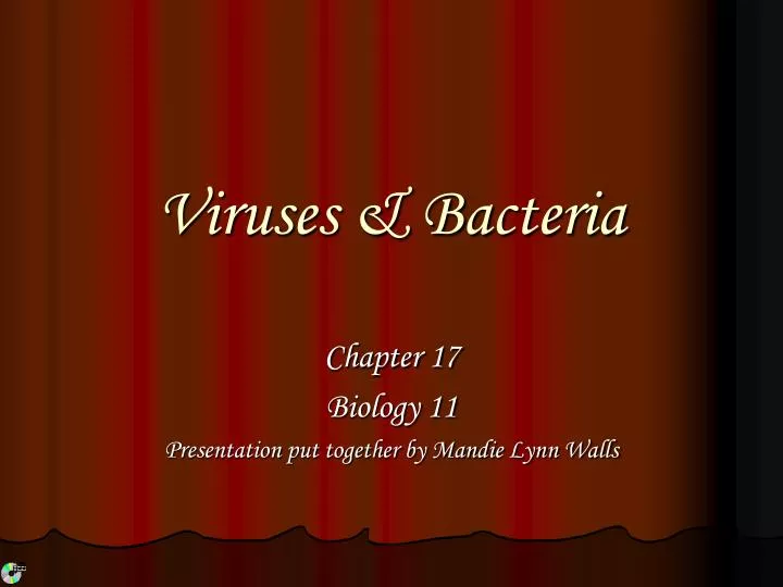 viruses bacteria n.
