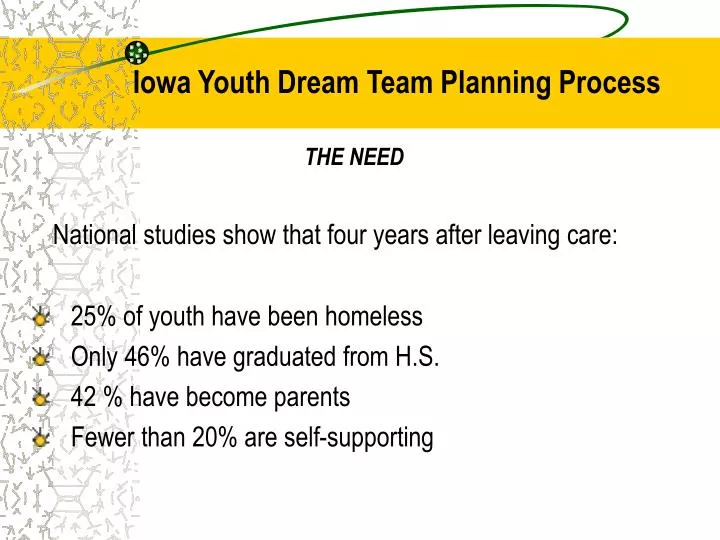 iowa youth dream team planning process n.