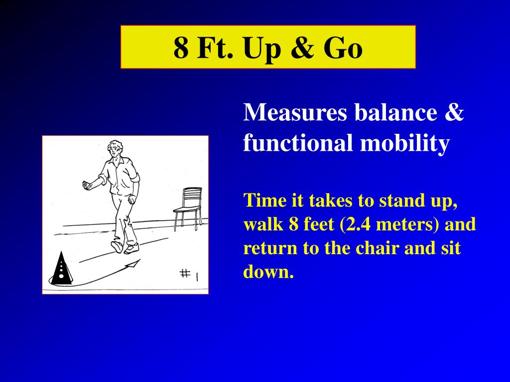 PPT - Introduction to Senior Fitness Test PowerPoint Presentation