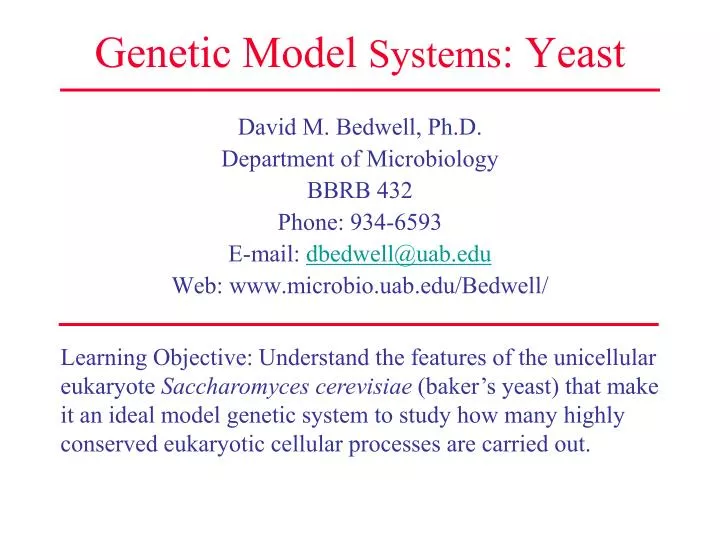 genetic model systems yeast n.
