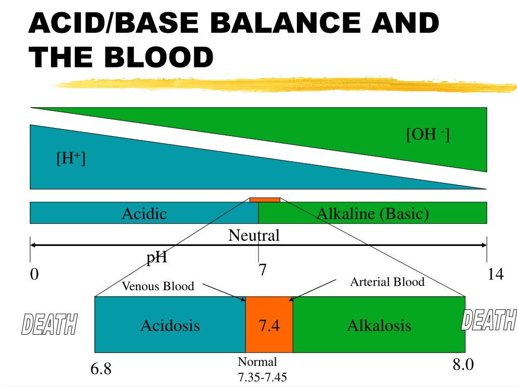 PPT - ACID/BASE BALANCE PowerPoint Presentation, Free Download - ID:203339