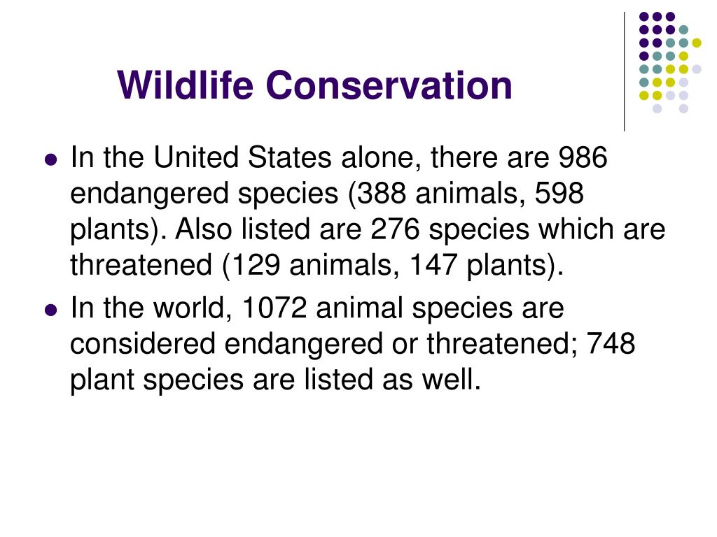 research topics for wildlife conservation