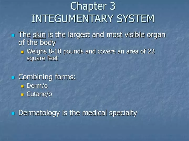 chapter 3 integumentary system n.