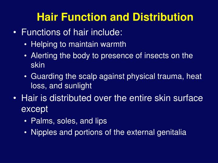 PPT Integumentary System PowerPoint Presentation ID203550