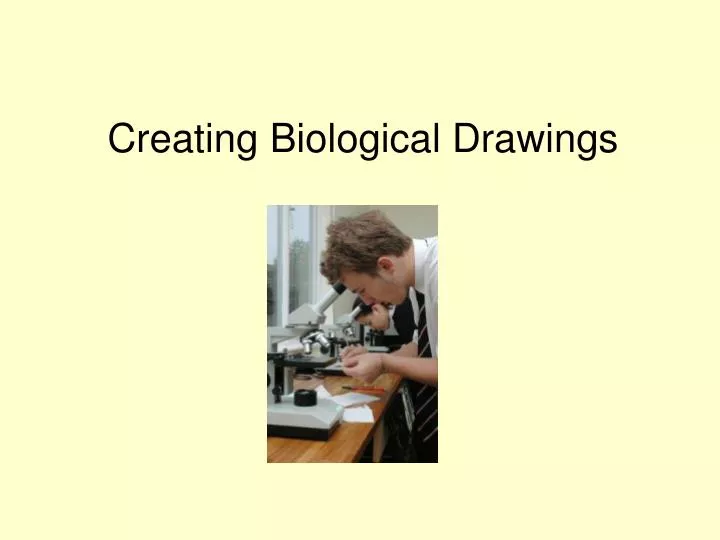 creating biological drawings n.
