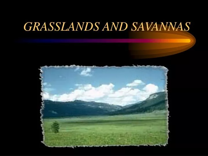 grasslands and savannas n.