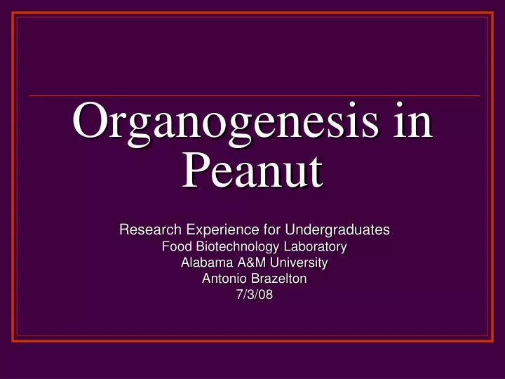 organogenesis in peanut n.