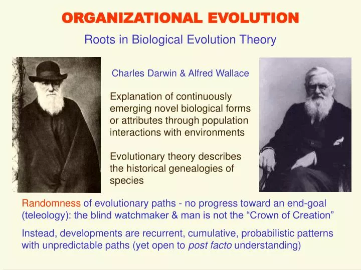 organizational evolution n.