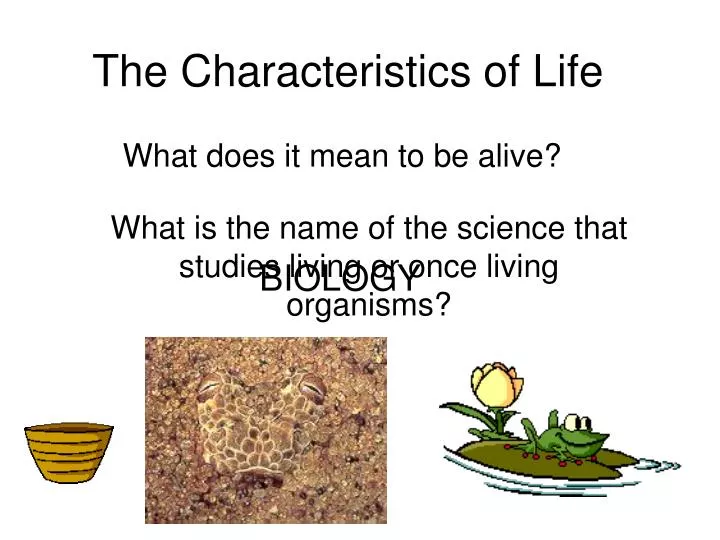 the characteristics of life n.