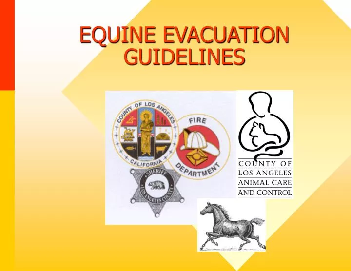 equine evacuation guidelines n.