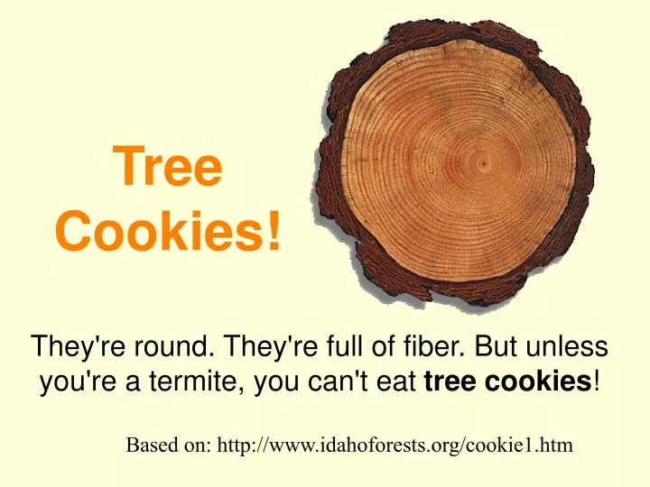 tree cookies n.